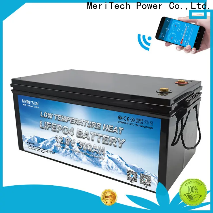 MERITSUN best low temperature lithium ion battery supply for car 1