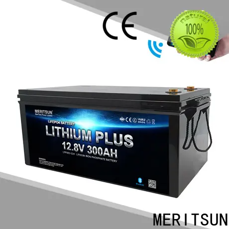 MERITSUN custom bluetooth lithium battery with good price for robot1 1