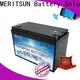 MERITSUN top low temperature lithium battery with good price for robot 1