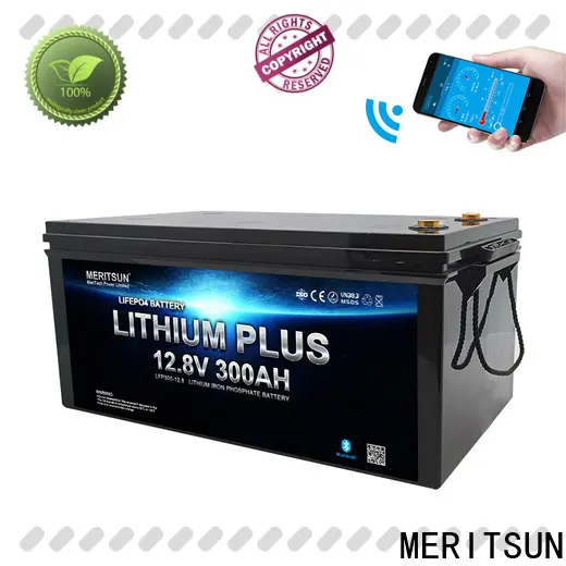 MERITSUN custom bluetooth lithium battery manufacturers for boat 1