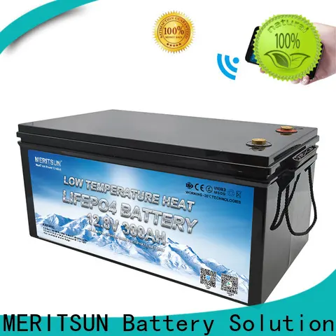 MERITSUN best lithium battery low temperature factory for robot 1