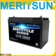 MERITSUN lithium battery manufacturers supplier for building1 1
