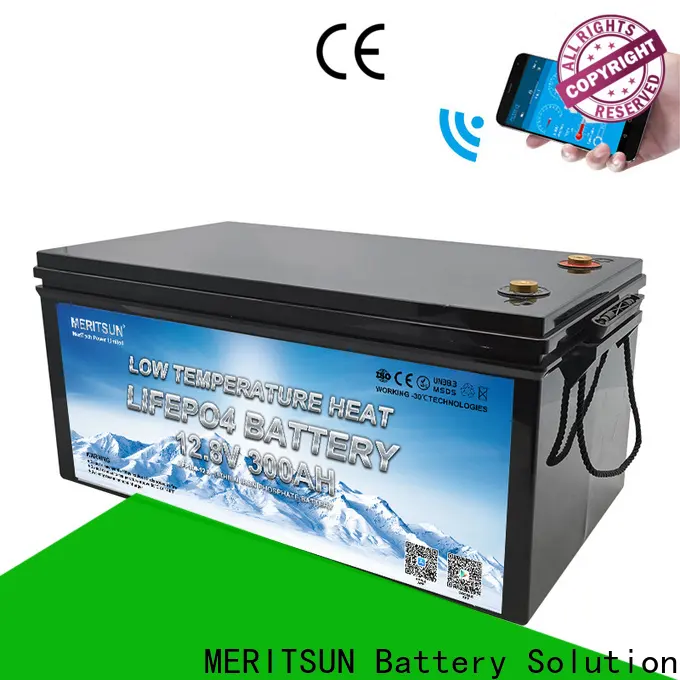 MERITSUN lithium battery low temperature manufacturers for house 1