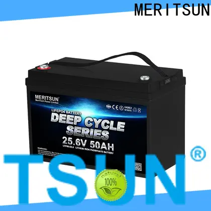 MERITSUN high-quality lithium ion rechargeable battery series for home use 1