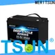 MERITSUN high-quality lithium ion rechargeable battery series for home use 1