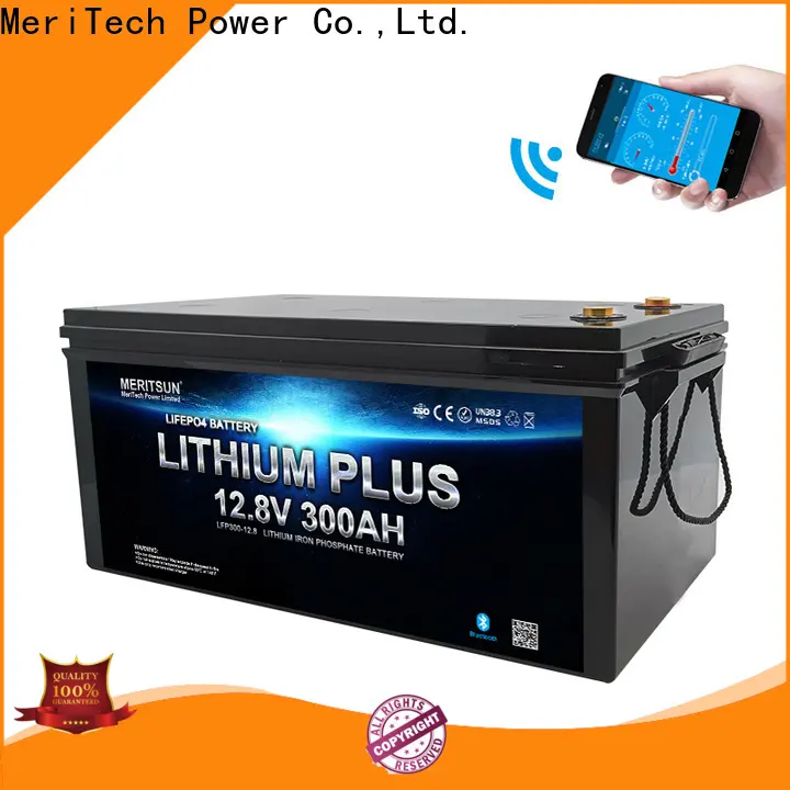 MERITSUN top lithium battery with bluetooth company for boat 1