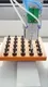 Wholesale Auto Glue Dispenser Price List 5