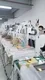 Automated Glue Dispensing Systems Wholesale - Xiaomao Machine-3 9