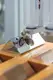 Automated Glue Dispensing Systems Wholesale - Xiaomao Machine-1 7