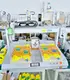 Automatic Screw Fastening Machine by Xiaomao Machine-1 3