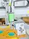 Automatic Screw Fastening Machine by Xiaomao Machine-1 7