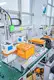 Automatic Screw Driving Machine Wholesale - Xiaomao Machine 2