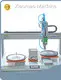 Auto Screw Machine - - Xiaomao Machine 1