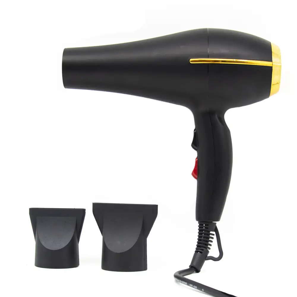 FP-2500 Classic Black & Gold Series 1200W High-Power DC Motor Hair Dryer with Styling Concentrator 1