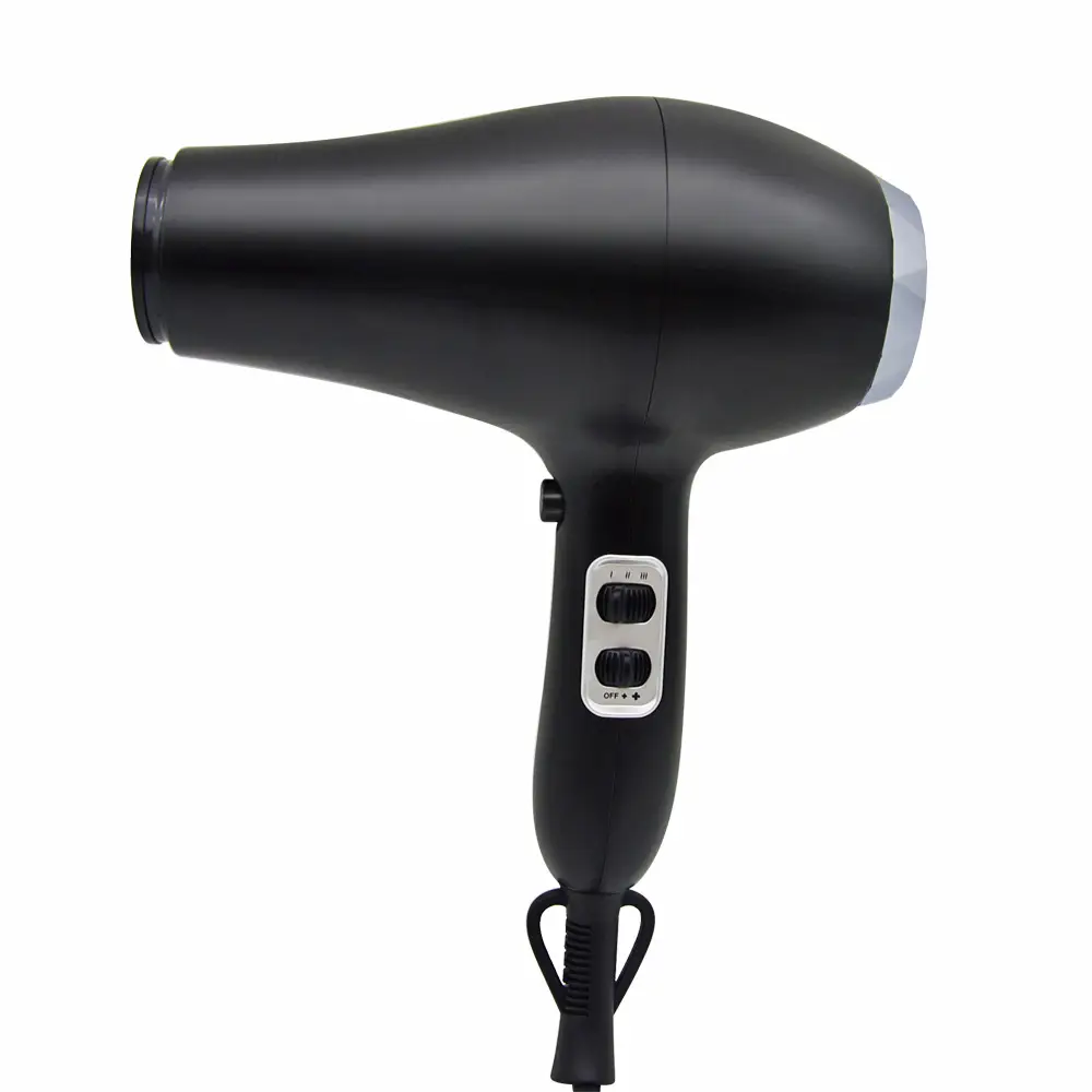 FP-501 Professional 2000W High-Power Hair Dryer Wet-to-Dry Salon Blow Dryer 1