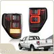 Car Lights Manufacturer Ford F150 2009-2014 by Maxdo 1