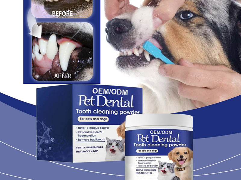 Tooth Cleaning Powder For Cats And Dogs 3