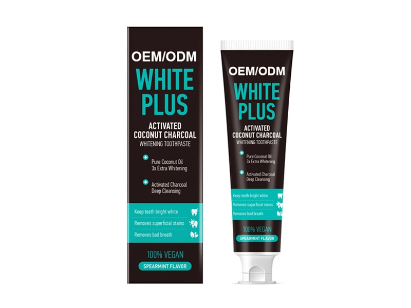 Coconut Activated Bamboo Charcoal Fresh Mint Black Toothpaste 1