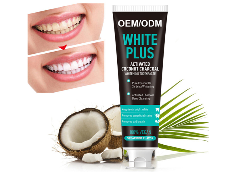 Coconut Activated Bamboo Charcoal Fresh Mint Black Toothpaste 2