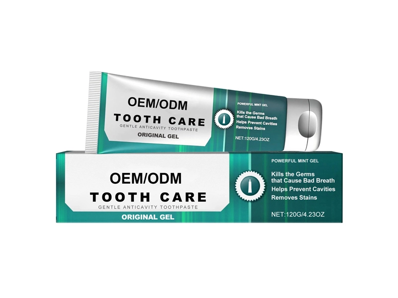 Mint Fresh Care Toothpaste 1