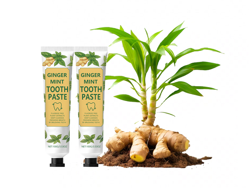 100g Ginger Infused Mint Toothpaste for All-Day Freshness 2