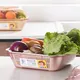 Plastic Dish Tray HX0035915 - - HongXing 4