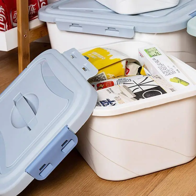 Large Plastic Storage Box. Storage Box with Lid 1
