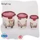 HongXing 100% airtight airtight food storage containers from China for sandwich 1