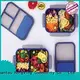 reliable quality microwavable lunch containers freereliable quality for stocking fruit 1