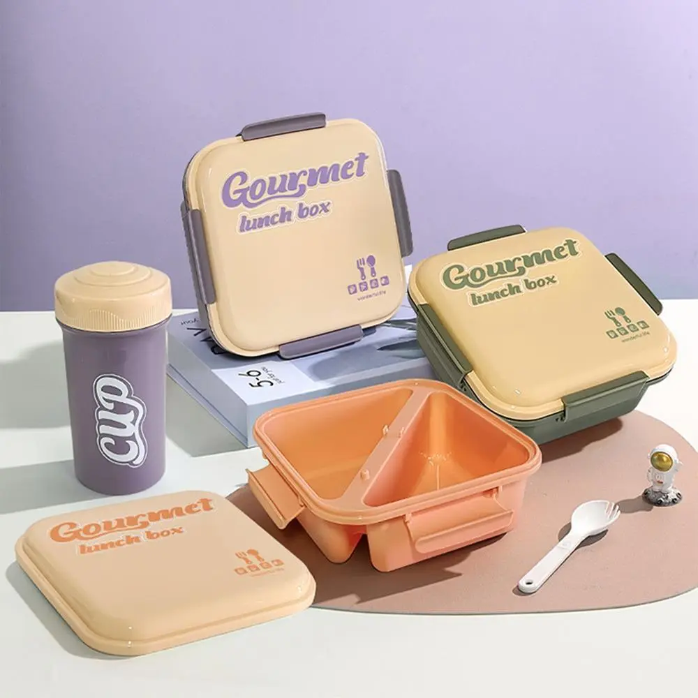 Sandwich Meal Kit Lunch Box | Plastic Lunch Box Factory - HongXing 1