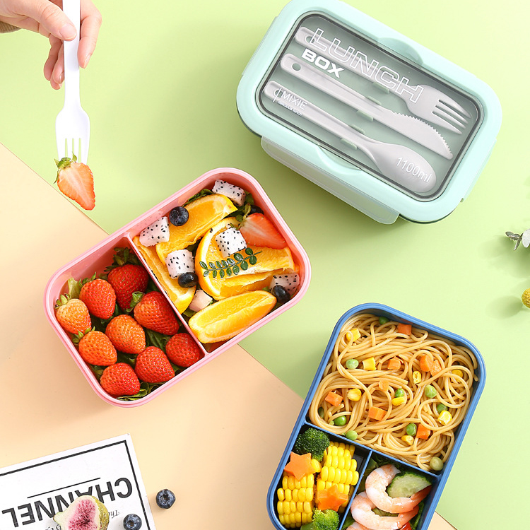 Single-Layer Lunch Box with Bottle – Great for Work & Meal Prep 3