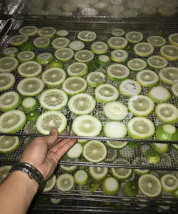 system food dehydrator machine researchtype for leave IKE 5