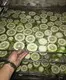 system food dehydrator machine researchtype for leave IKE 5