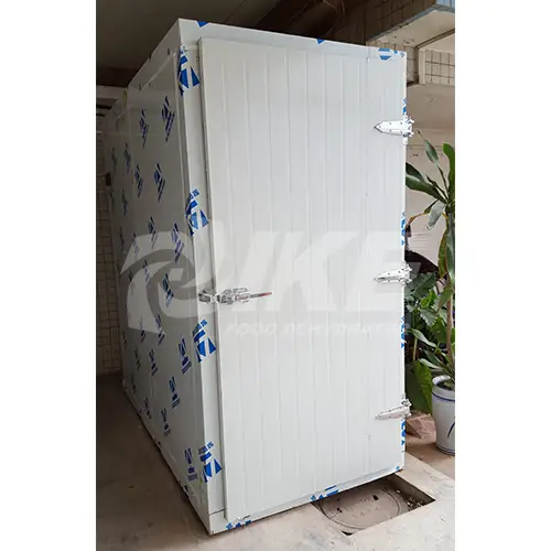 WRH-300A Middle Temperature Commercial Fruit And Vegetable Dryer 1