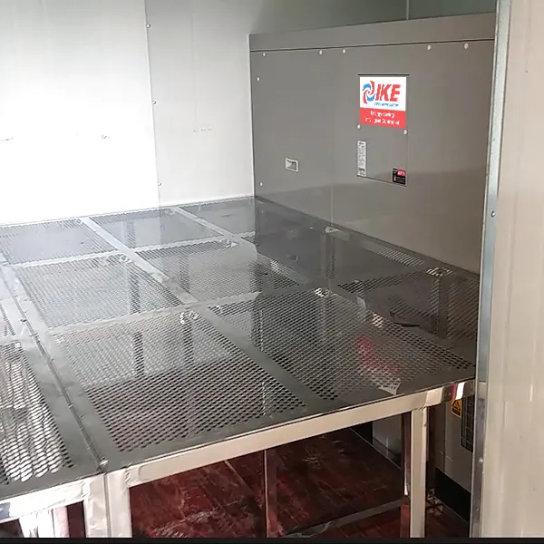 IKE low commercial dryer dehydrator fruit 7