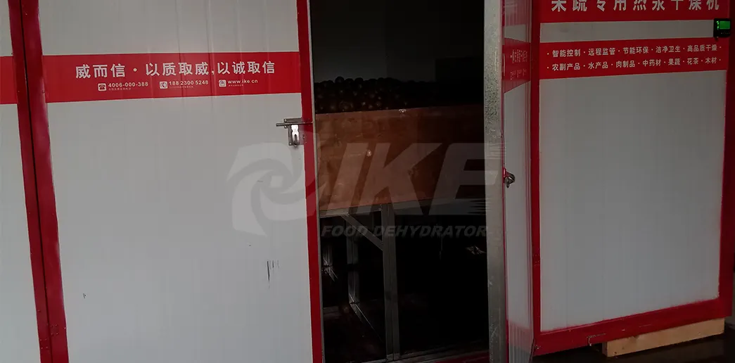 IKE low commercial dryer dehydrator fruit 5