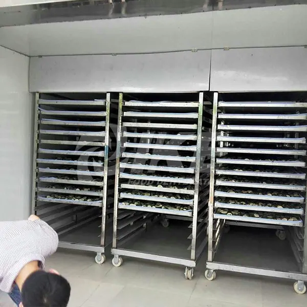 large commercial dehydrator for drying IKE 6