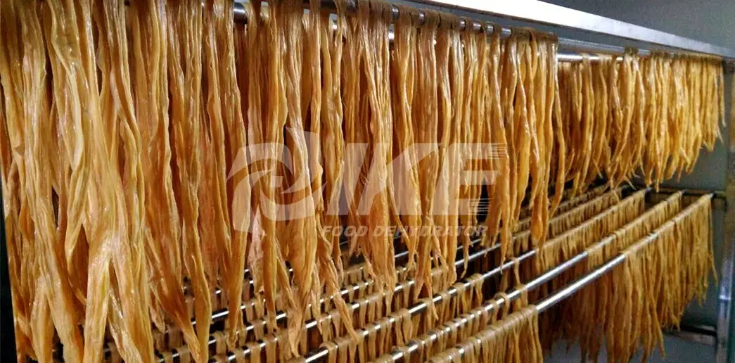 vegetable dryer digital for vegetable IKE 10