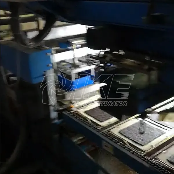 IKE mesh drying line order for food 5