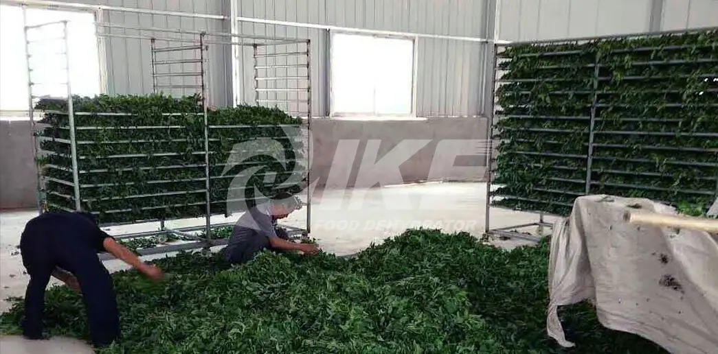 panel dehydrator net shelf for food IKE 5