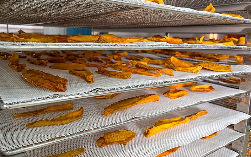 product-WRH-300GB High Temperature Stainless Steel Food Dehydrator Machine-IKE
 Maquinaria de alimentos-img-1
