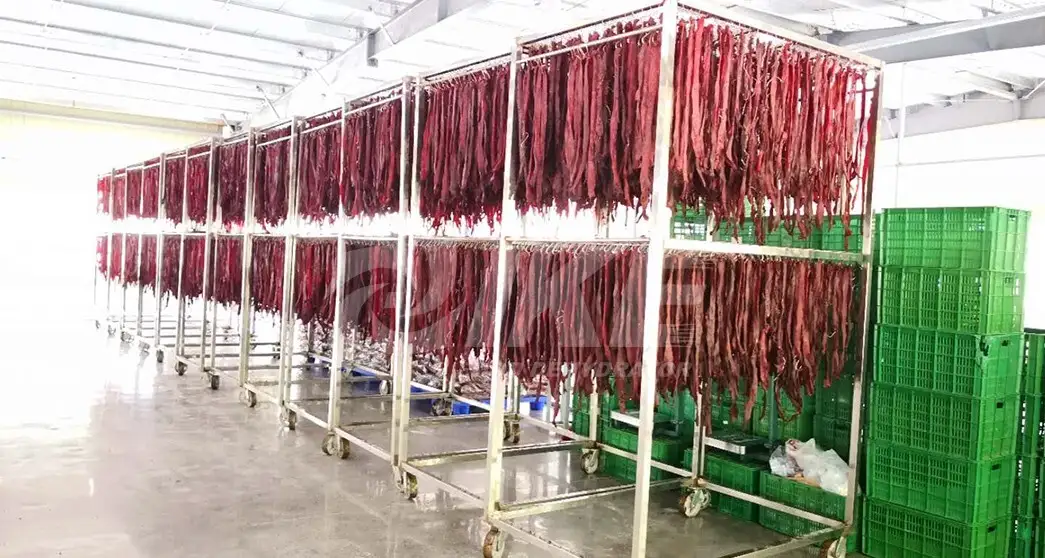 dehydrating fruit dehydrater dehydrator beef 8