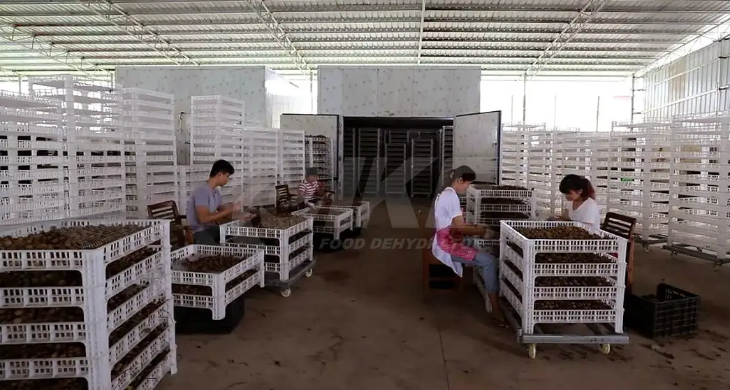 dehydrating fruit dehydrater dehydrator beef 9