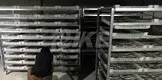 IKE dehydrator racks best factory price for food 3