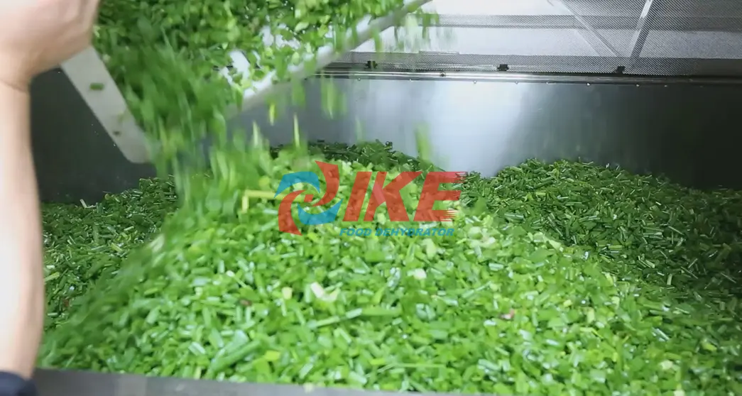 mini screen drying cabinet food for vegetable IKE 6