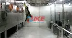 mini screen drying cabinet food for vegetable IKE 4