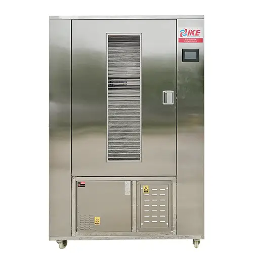 Secador deshidratador de alimentos de alta calidad WRH-100GN PULS 1