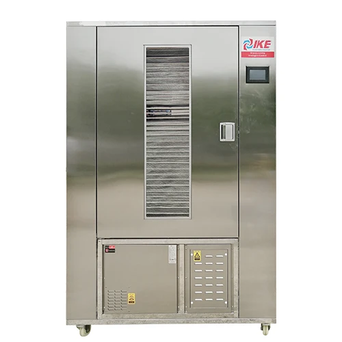 Secador deshidratador de alimentos de alta calidad WRH-100GN PULS 1