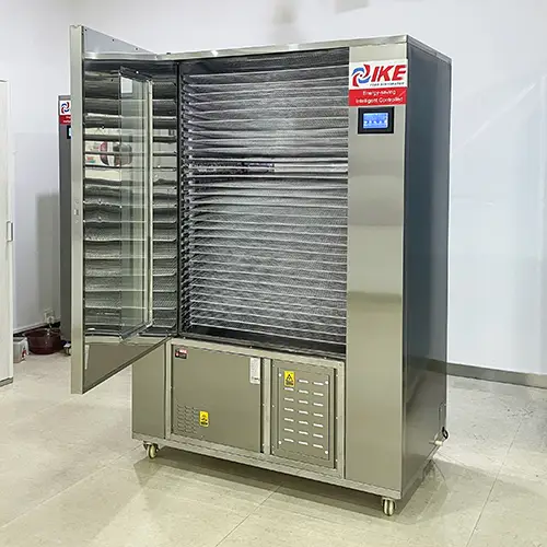 Secador deshidratador de alimentos de alta calidad WRH-100GN PULS 2