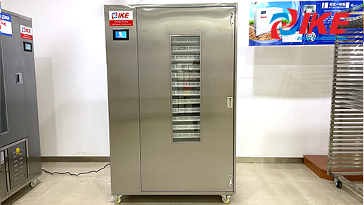 Máquina de secagem de frutas e legumes WRH-100B com bandejas plásticas